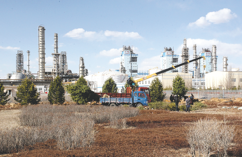 足球情报App界面展示